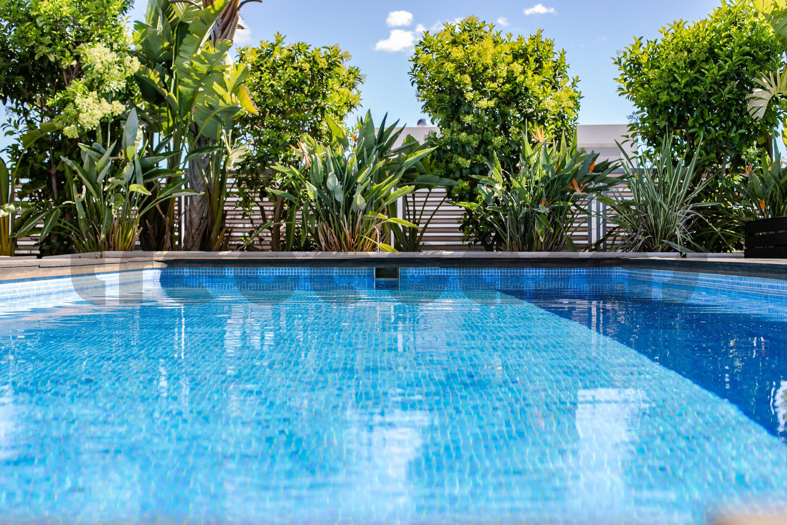 Chalet lujo-Torre conill-piscina