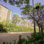 Avenida Cortes Valencianas con edificios