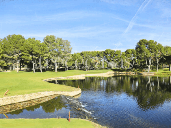 Club Escorpión Torre en Conill